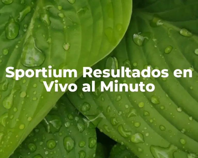 Sportium Resultados en Vivo al Minuto