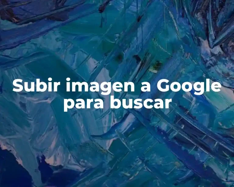 Subir imagen a Google para buscar