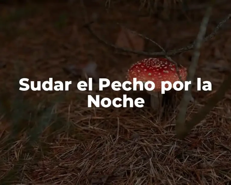 Sudar el Pecho por la Noche