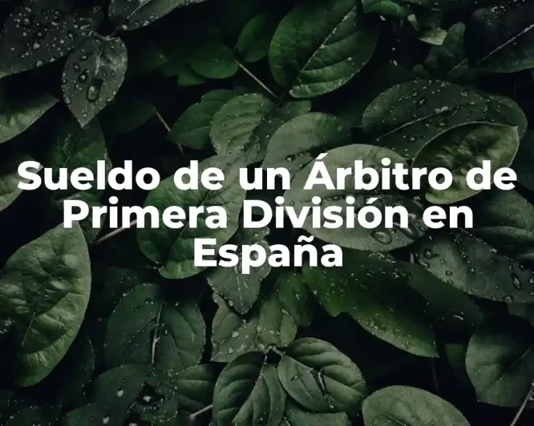 Sueldo de un Árbitro de Primera División en España