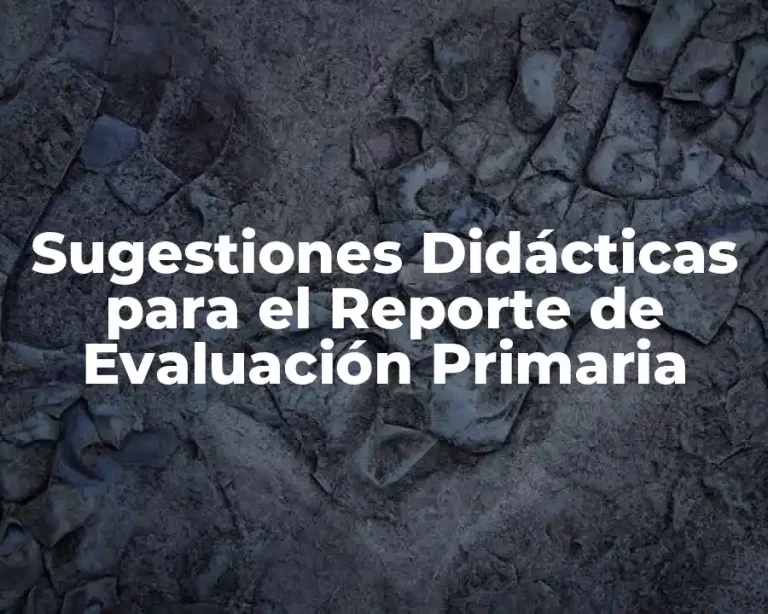 Sugestiones Didácticas para el Reporte de Evaluación Primaria