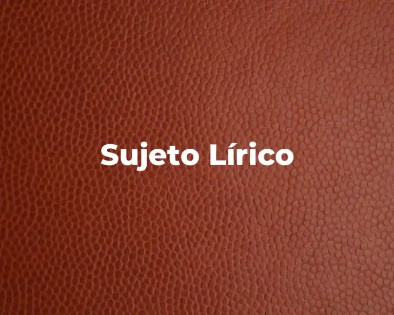 Sujeto Lírico