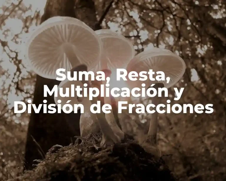 Suma, Resta, Multiplicación y División de Fracciones