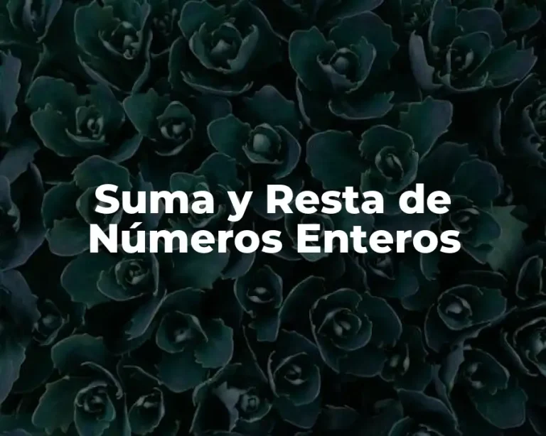 Suma y Resta de Números Enteros