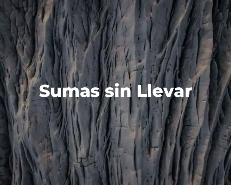 Sumas sin Llevar