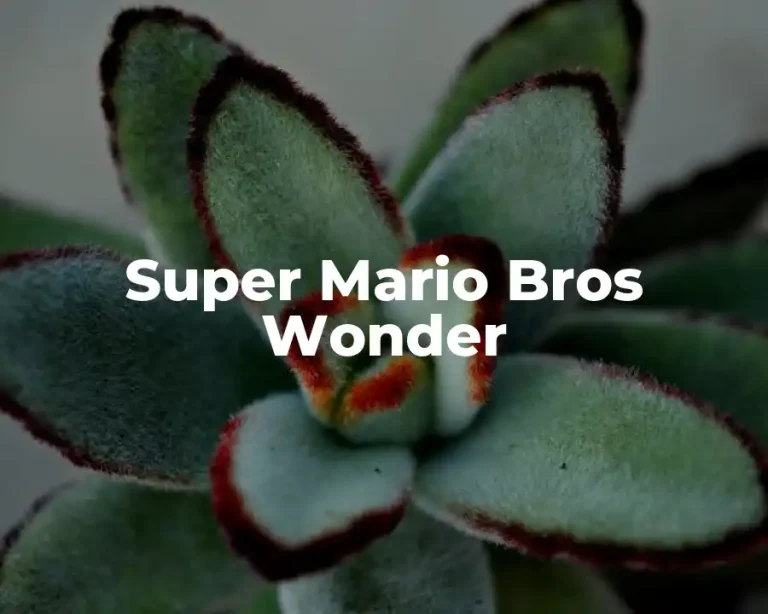 Super Mario Bros Wonder
