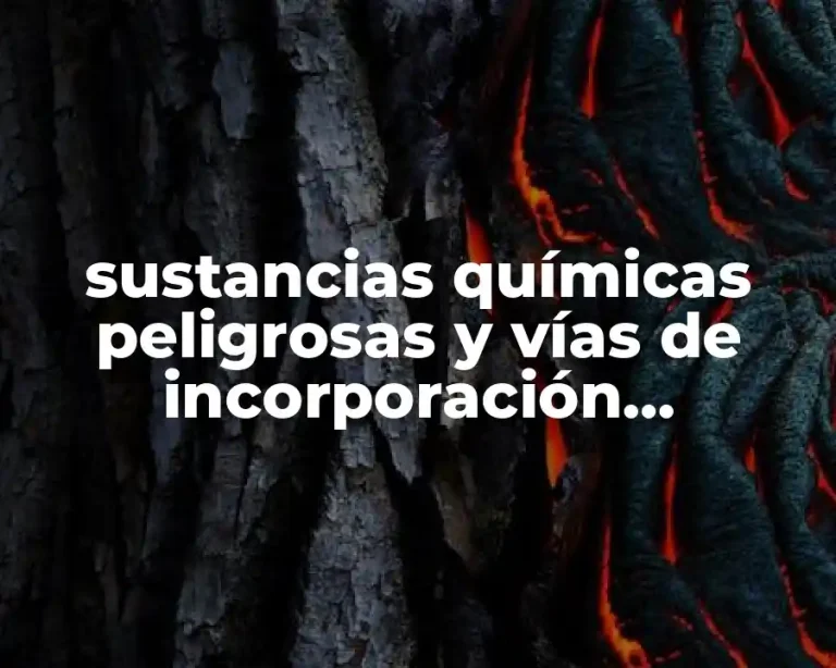 sustancias químicas peligrosas y vías de incorporación toxicológica