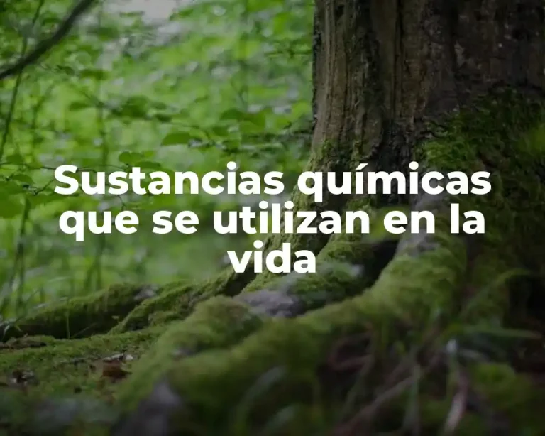 Sustancias químicas que se utilizan en la vida