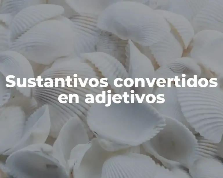 Sustantivos convertidos en adjetivos