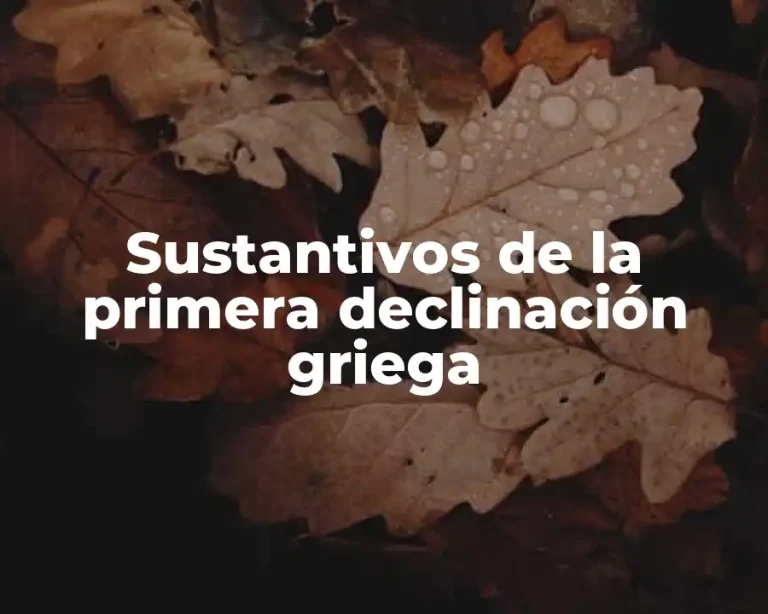 Sustantivos de la primera declinación griega