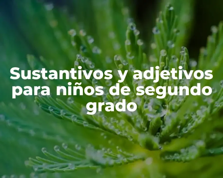 Sustantivos y adjetivos para niños de segundo grado