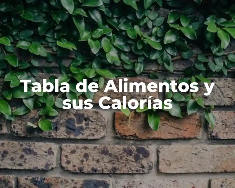 Tabla de Alimentos y sus Calorías