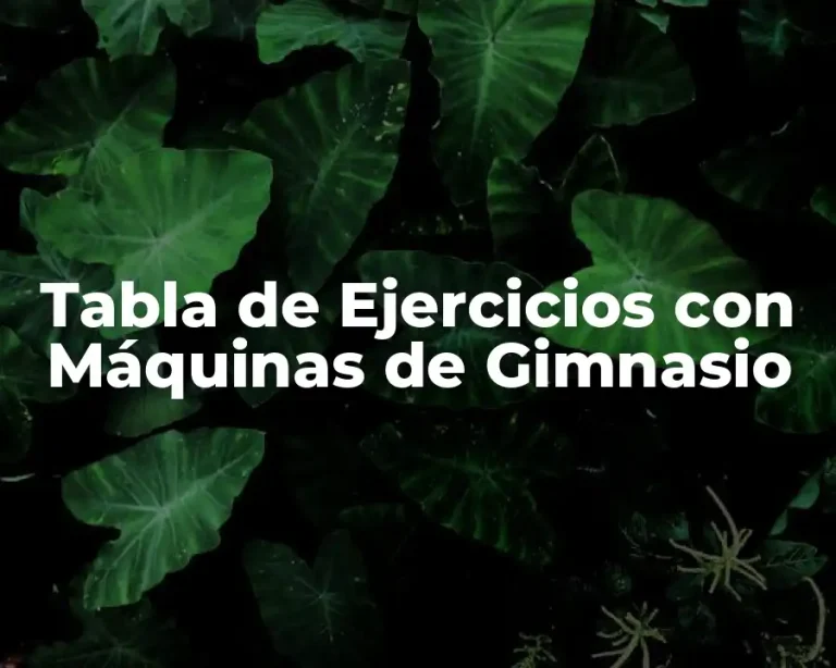 Tabla de Ejercicios con Máquinas de Gimnasio