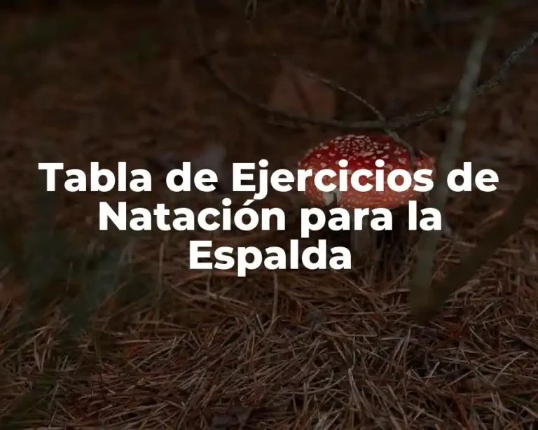 Tabla de Ejercicios de Natación para la Espalda