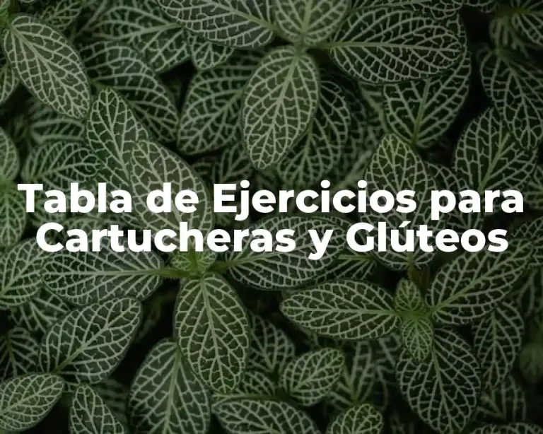 Tabla de Ejercicios para Cartucheras y Glúteos
