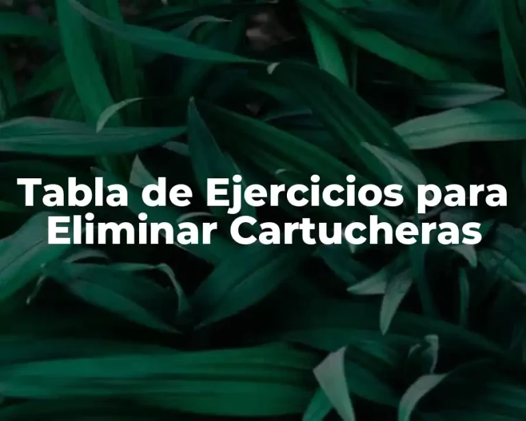 Tabla de Ejercicios para Eliminar Cartucheras