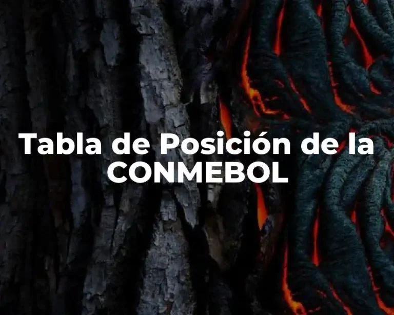 Tabla de Posición de la CONMEBOL