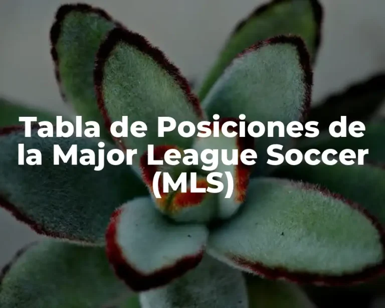 Tabla de Posiciones de la Major League Soccer (MLS)