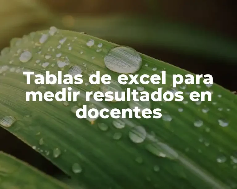 Tablas de excel para medir resultados en docentes