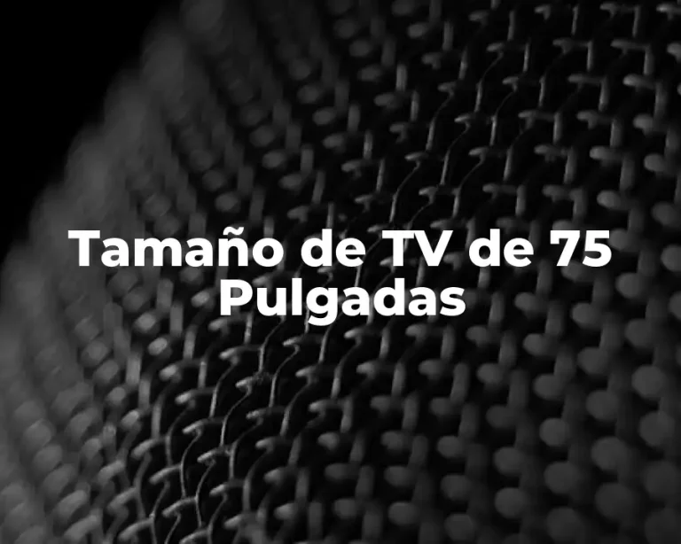 Tamaño de TV de 75 Pulgadas