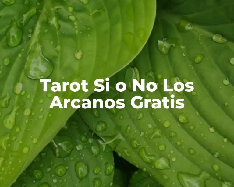 Tarot Si o No Los Arcanos Gratis