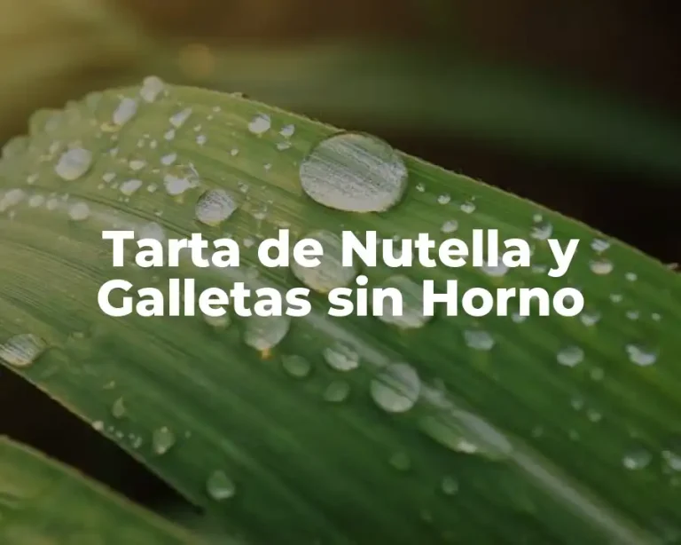 Tarta de Nutella y Galletas sin Horno