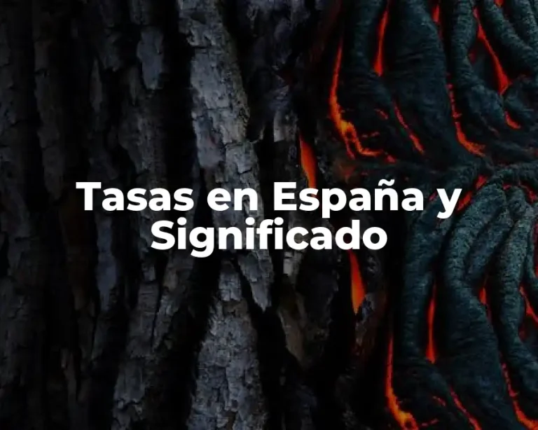 Tasas en España y Significado