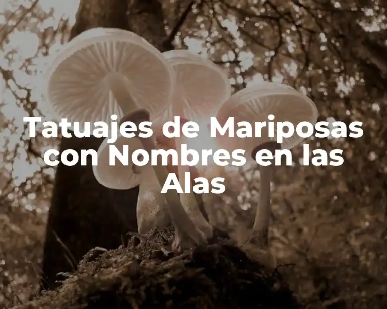 Tatuajes de Mariposas con Nombres en las Alas