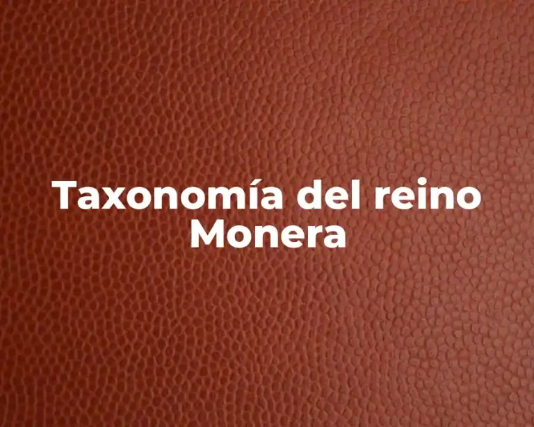 Taxonomía del reino Monera