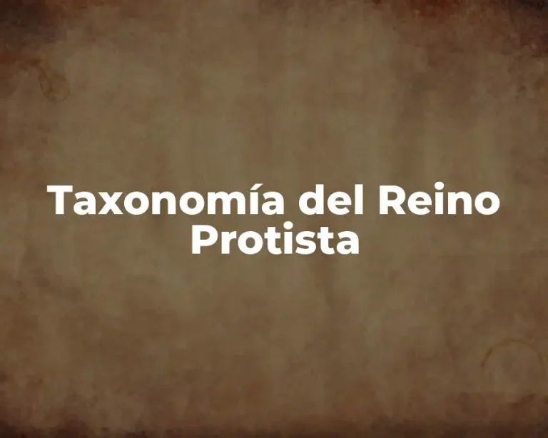 Taxonomía del Reino Protista
