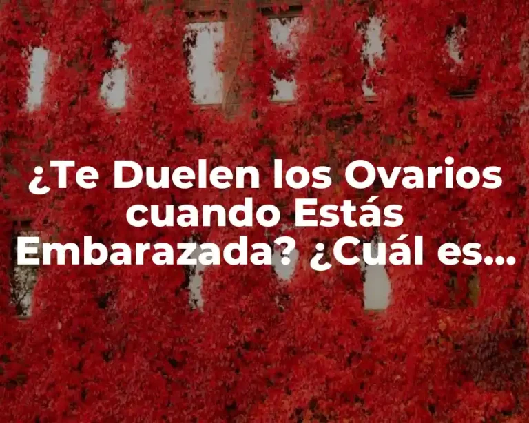 ¿Te Duelen los Ovarios cuando Estás Embarazada? ¿Cuál es la Razón?
