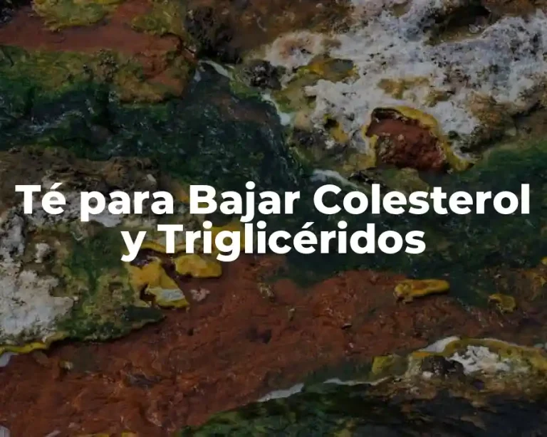 Té para Bajar Colesterol y Triglicéridos