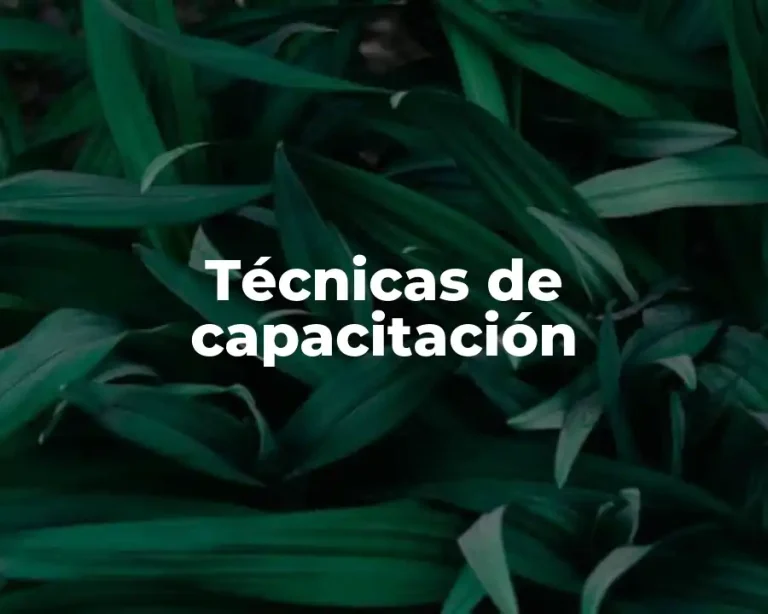 Técnicas de capacitación