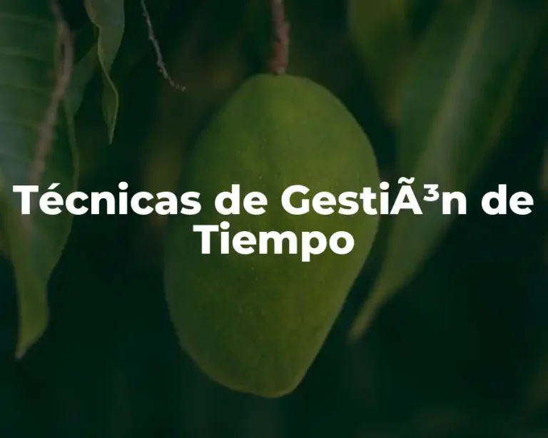 Técnicas de GestiÃ³n de Tiempo