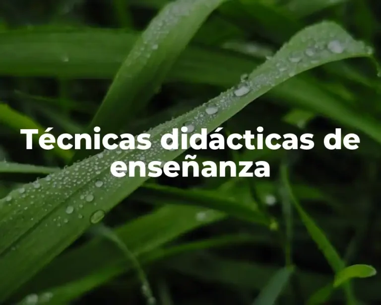 Técnicas didácticas de enseñanza