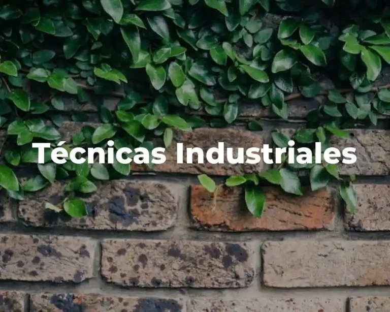 Técnicas Industriales
