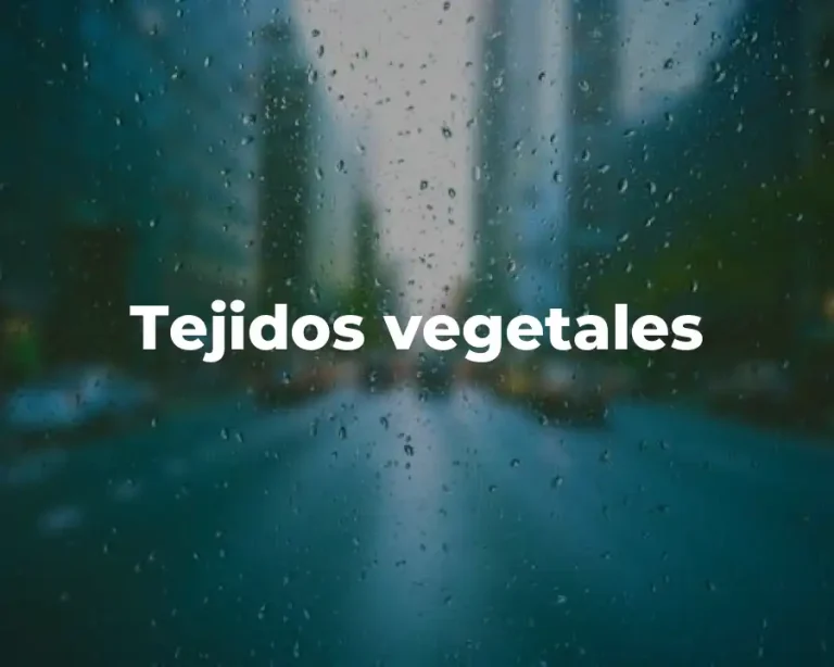 Tejidos vegetales