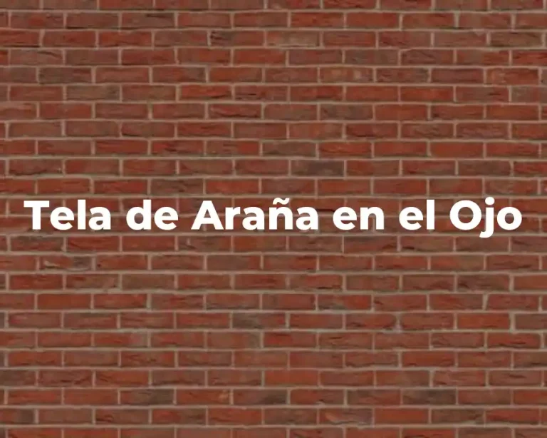 Tela de Araña en el Ojo