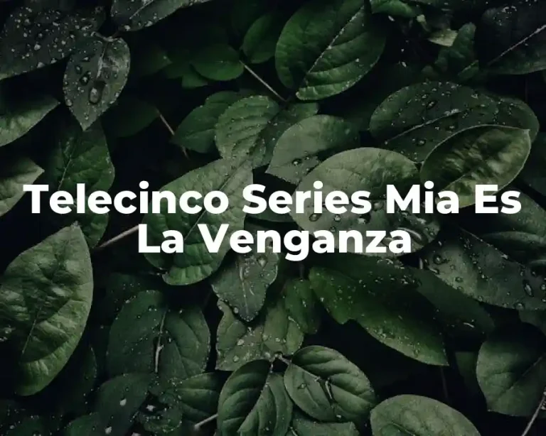 Telecinco Series Mia Es La Venganza