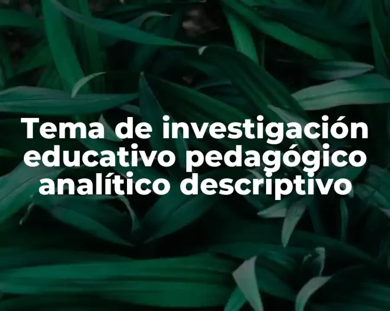 Tema de investigación educativo pedagógico analítico descriptivo