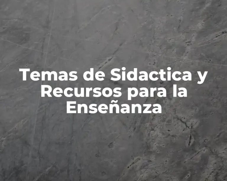 Temas de Sidactica y Recursos para la Enseñanza