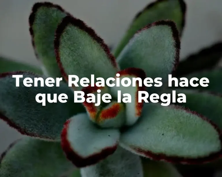 Tener Relaciones hace que Baje la Regla
