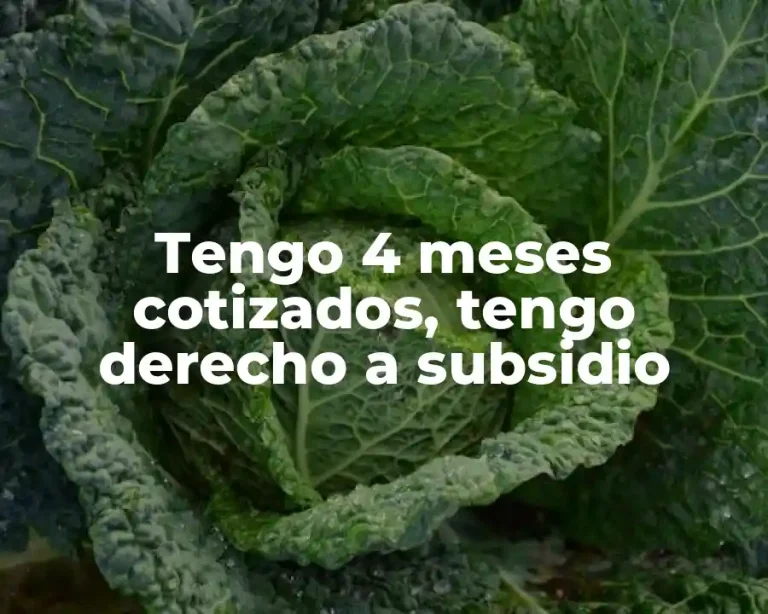 Tengo 4 meses cotizados, tengo derecho a subsidio