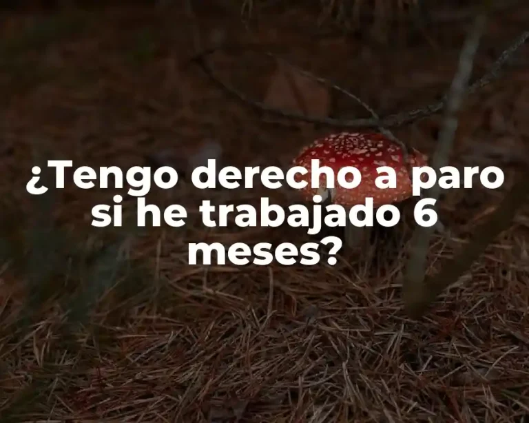 ¿Tengo derecho a paro si he trabajado 6 meses?