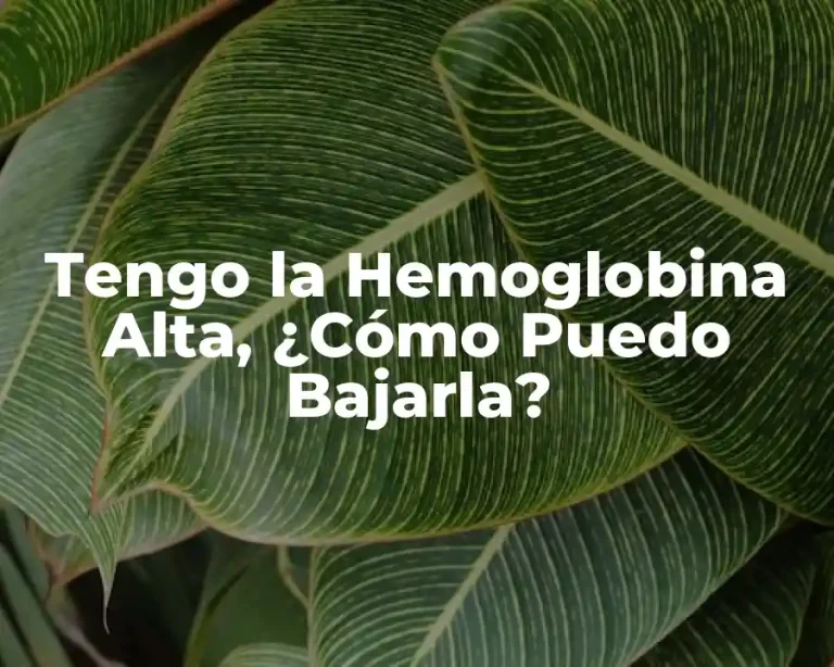 Tengo la Hemoglobina Alta, ¿Cómo Puedo Bajarla?