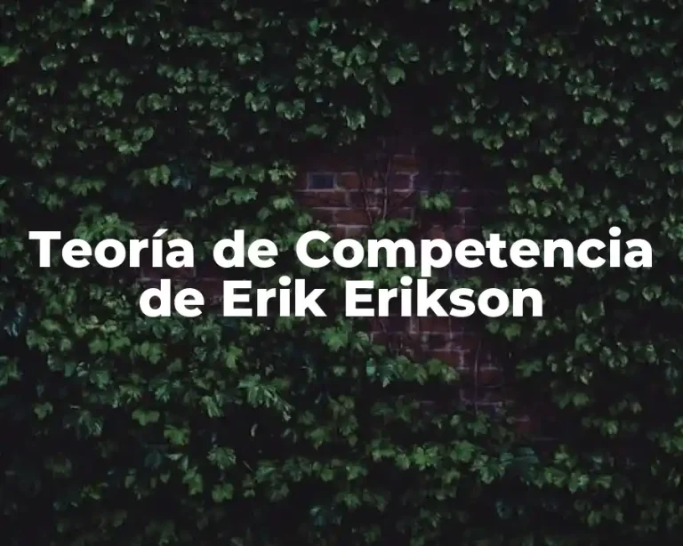 Teoría de Competencia de Erik Erikson