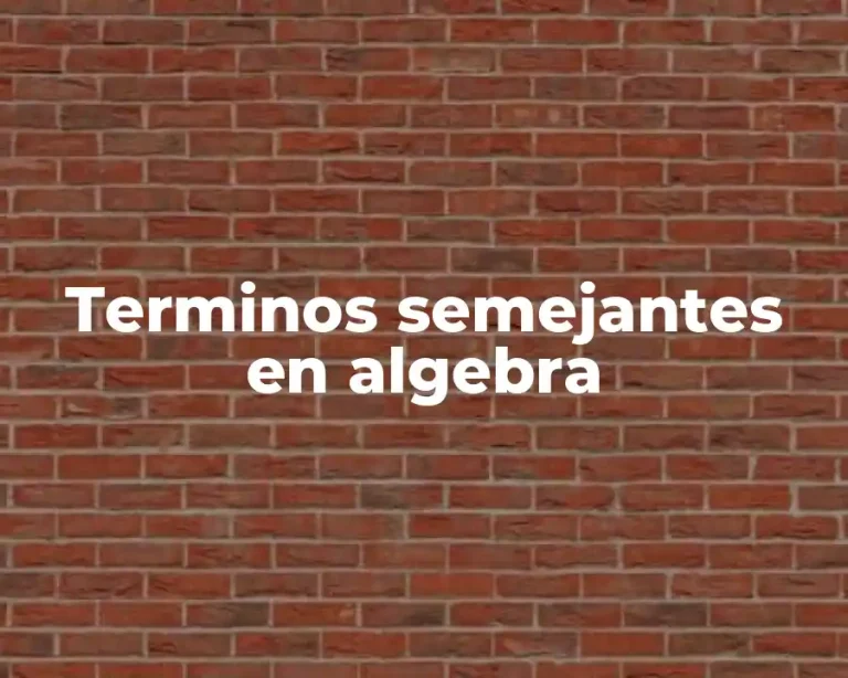 Terminos semejantes en algebra
