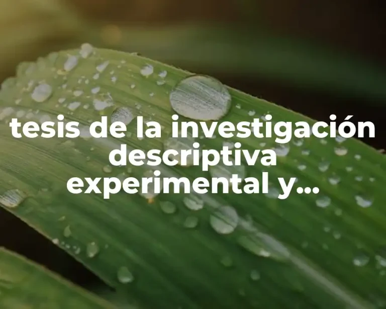 tesis de la investigación descriptiva experimental y explicativa