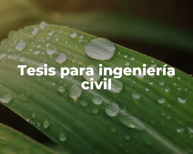 Tesis para ingeniería civil