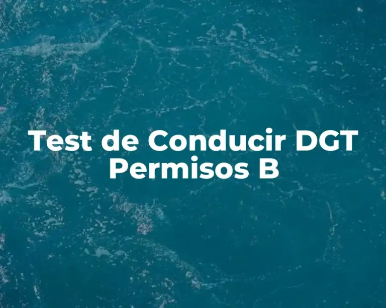 Test de Conducir DGT Permisos B